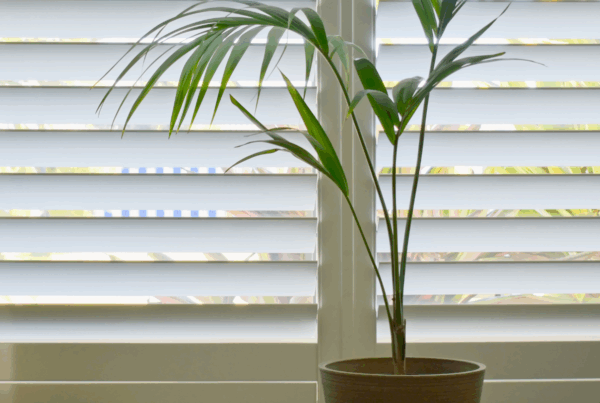 how-do-plantation-shutters-work